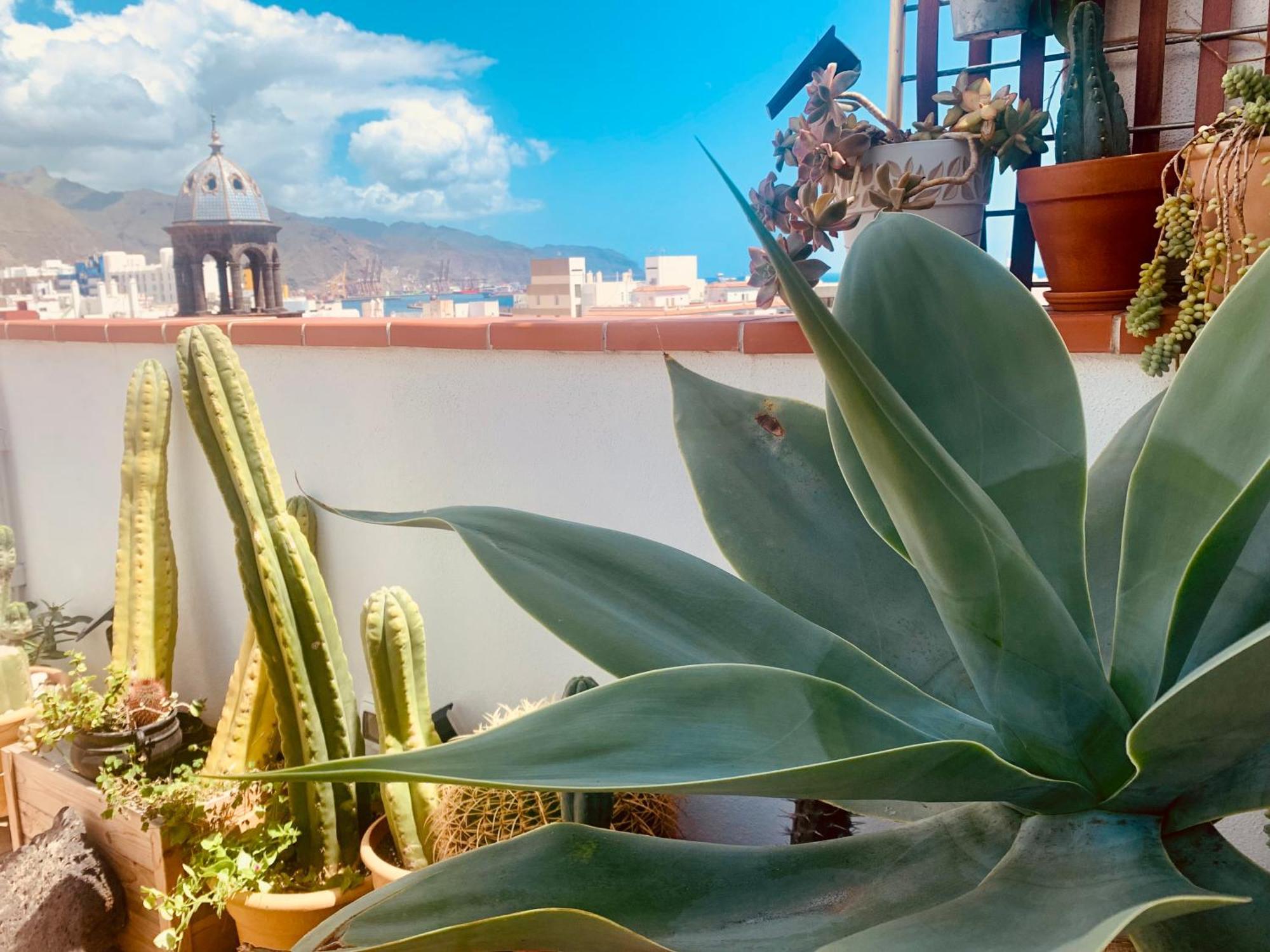 Atico Con Terraza, Vistas Panoramicas Y Parking Apartment Santa Cruz de Tenerife Ngoại thất bức ảnh