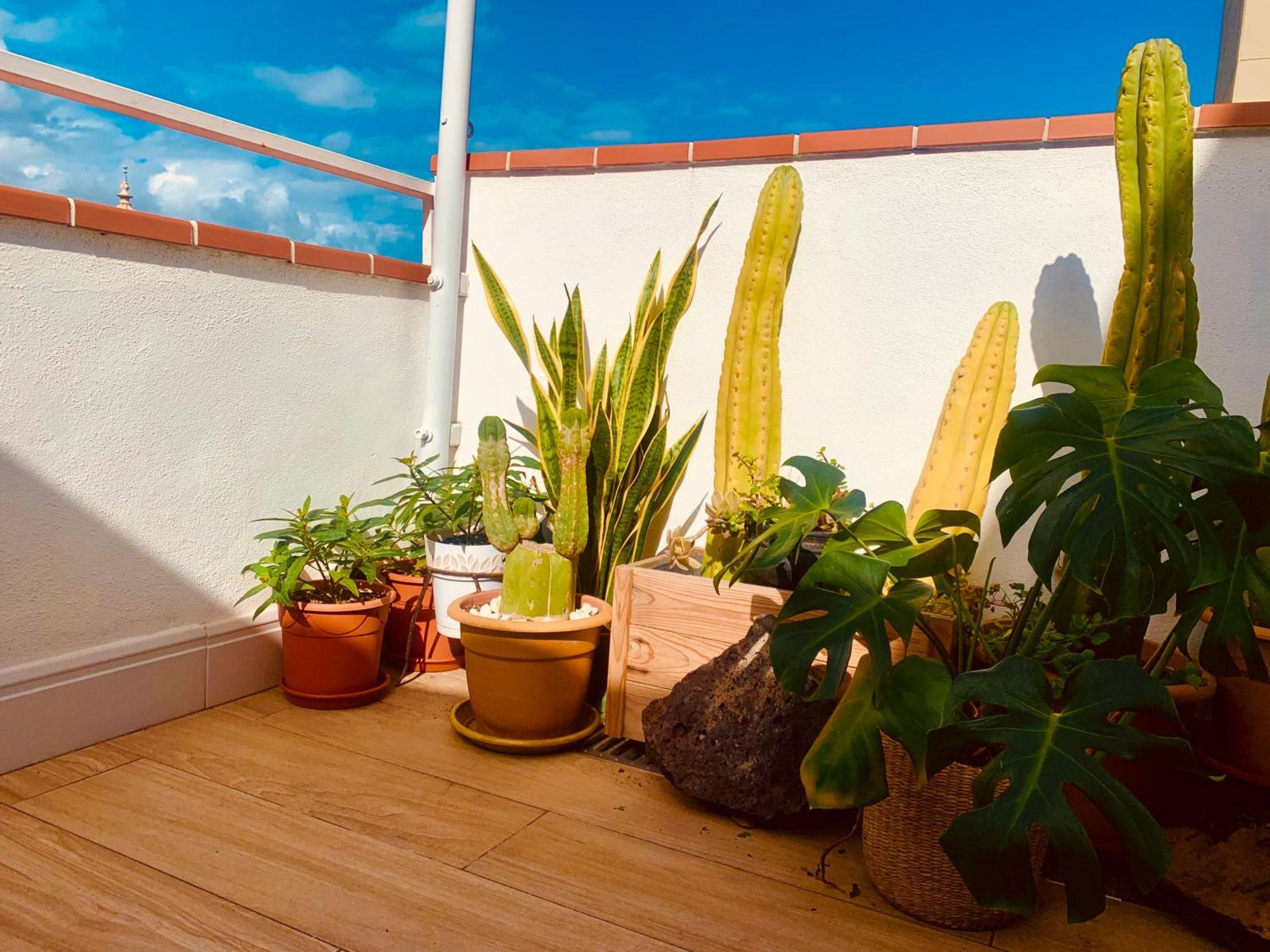 Atico Con Terraza, Vistas Panoramicas Y Parking Apartment Santa Cruz de Tenerife Ngoại thất bức ảnh